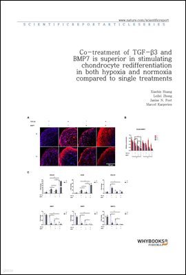 Co-treatment of TGF-3 and BMP7 is superior in stimulating chondrocyte redifferentiation in both hypoxia and normoxia compared to single treatments