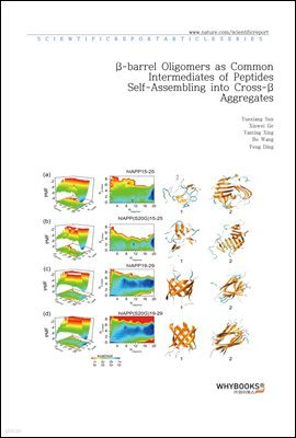 -barrel Oligomers as Common Intermediates of Peptides Self-Assembling into Cross- Aggregates