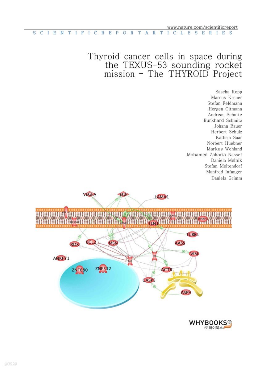 Thyroid cancer cells in space during the TEXUS-53 sounding rocket mission ? The THYROID Project