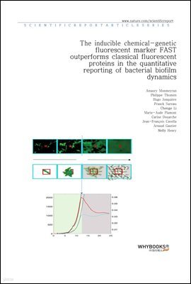 The inducible chemical-genetic fluorescent marker FAST outperforms classical fluorescent proteins in the quantitative reporting of bacterial biofilm dynamics