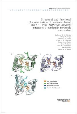 Structural and functional characterization of suramin-bound MjTX-I from Bothrops moojeni suggests a particular myotoxic mechanism