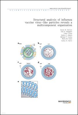 Structural analysis of influenza vaccine virus-like particles reveals a multicomponent organization