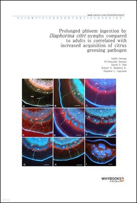 Prolonged phloem ingestion by Diaphorina citri nymphs compared to adults is correlated with increased acquisition of citrus greening pathogen