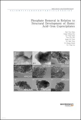 Phosphate Removal in Relation to Structural Development of Humic Acid-Iron Coprecipitates