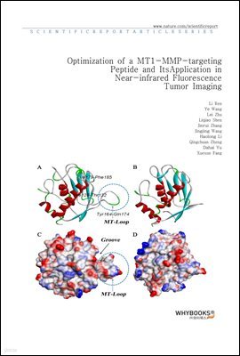 Optimization of a MT1-MMP-targeting Peptide and Its Application in Near-infrared Fluorescence Tumor Imaging