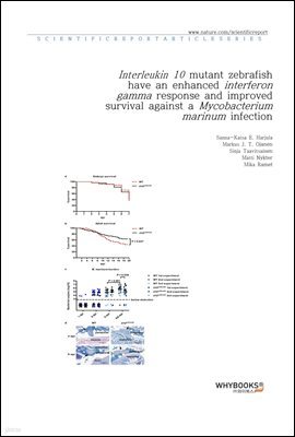 Interleukin 10 mutant zebrafish have an enhanced interferon gamma response and improved survival against a Mycobacterium marinum infection