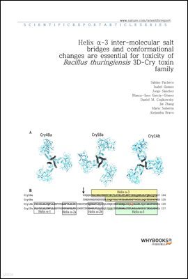 Helix -3 inter-molecular salt bridges and conformational changes are essential for toxicity of Bacillus thuringiensis 3D-Cry toxin family