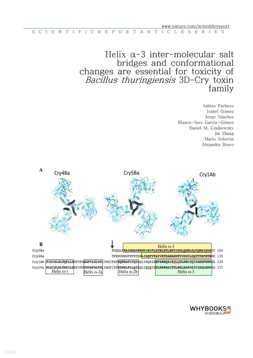 Helix α-3 inter-molecular salt bridges and conformational changes are essential for toxicity of Bacillus thuringiensis 3D-Cry toxin family