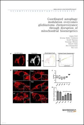 Coordinated autophagy modulation overcomes glioblastoma chemoresistance through disruption of mitochondrial bioenergetics