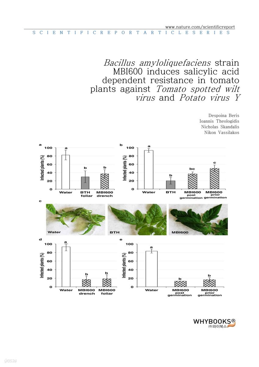Bacillus amyloliquefaciens strain MBI600 induces salicylic acid dependent resistance in tomato plants against Tomato spotted wilt virus and Potato virus Y