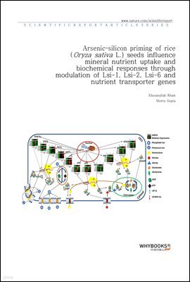 Arsenic?silicon priming of rice (Oryza sativa L.) seeds influence mineral nutrient uptake and biochemical responses through modulation of Lsi-1, Lsi-2, Lsi-6 and nutrient transporter genes