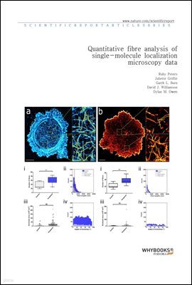 Quantitative fibre analysis of single-molecule localization microscopy data