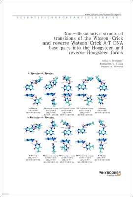 Non-dissociative structural transitions of the Watson-Crick and reverse Watson-Crick  DNA base pairs into the Hoogsteen and reverse Hoogsteen forms