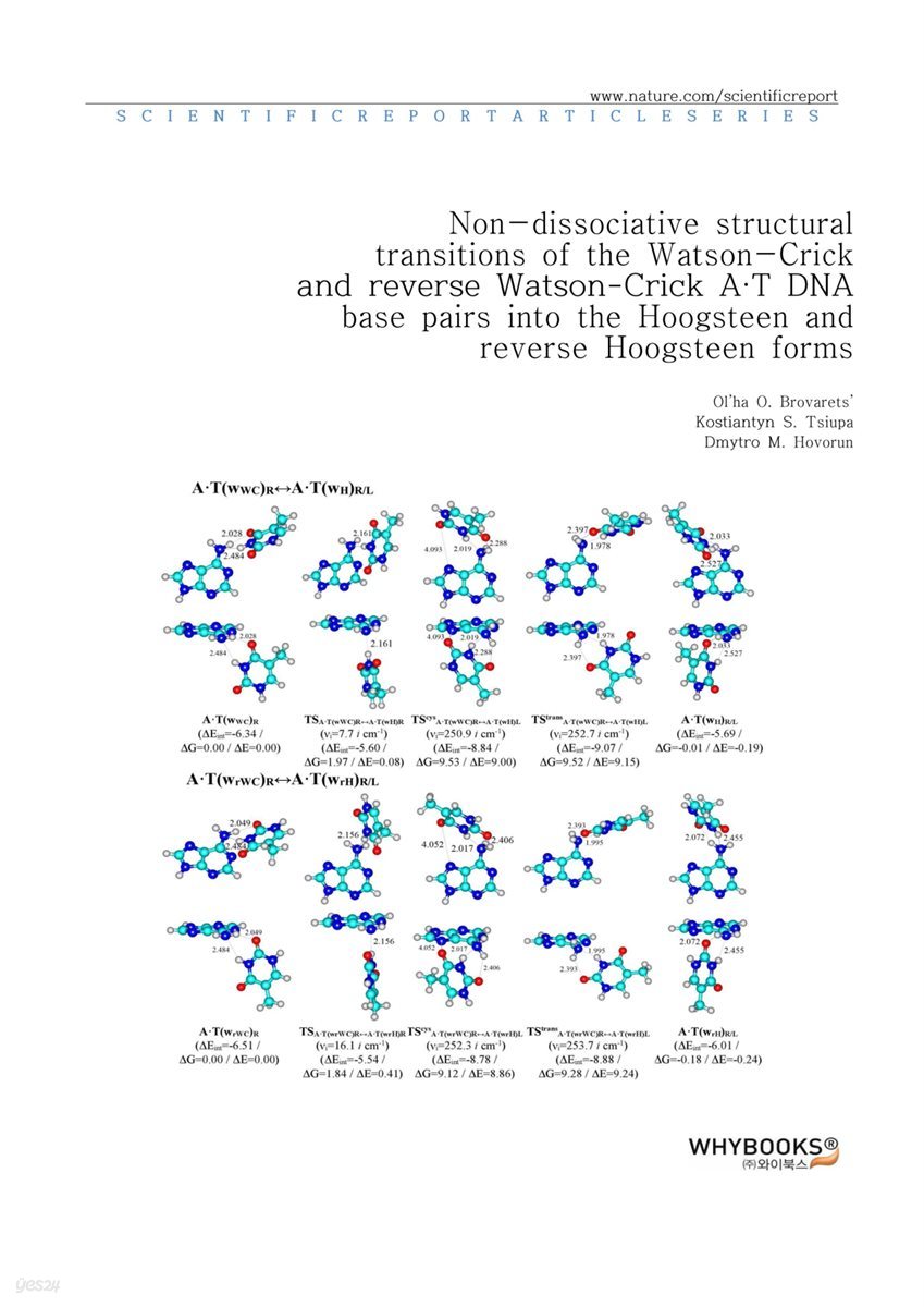 Non-dissociative structural transitions of the Watson-Crick and reverse Watson-Crick А&#183;Т DNA base pairs into the Hoogsteen and reverse Hoogsteen forms