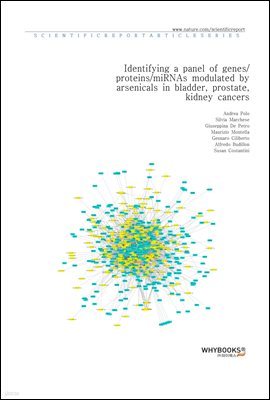 Identifying a panel of genesproteinsmiRNAs modulated by arsenicals in bladder, prostate, kidney cancers