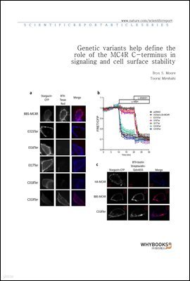 Genetic variants help define the role of the MC4R C-terminus in signaling and cell surface stability