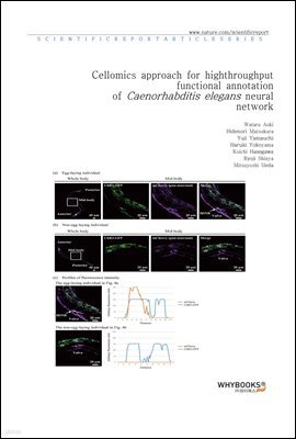 Cellomics approach for high-throughput functional annotation of Caenorhabditis elegans neural network