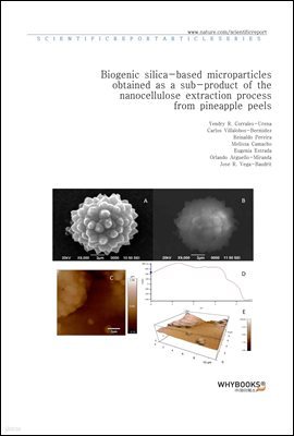 Biogenic silica-based microparticles obtained as a sub-product of the nanocellulose extraction process from pineapple peels