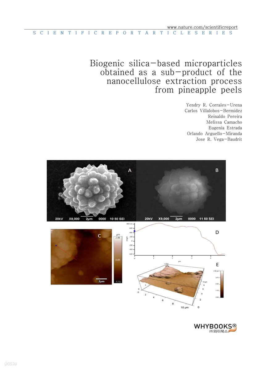 Biogenic silica-based microparticles obtained as a sub-product of the nanocellulose extraction process from pineapple peels