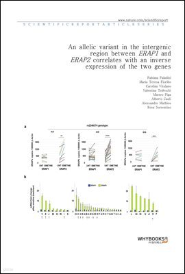 An allelic variant in the intergenic region between ERAP1 and ERAP2 correlates with an inverse expression of the two genes