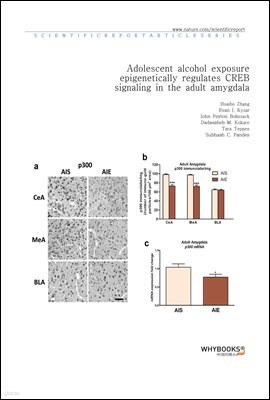 Adolescent alcohol exposure epigenetically regulates CREB signaling in the adult amygdala