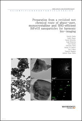 Preparation from a revisited wet chemical route of phase-pure, monocrystalline and SHG-efficient BiFeO3 nanoparticles for harmonic bio-imaging