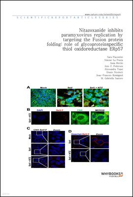 Nitazoxanide inhibits paramyxovirus replication by targeting the Fusion protein folding role of glycoprotein-specific thiol oxidoreductase ERp57