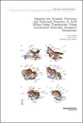 Mapping the Dynamic Functions and Structural Features of AcrB Efflux Pump Transporter Using Accelerated Molecular Dynamics Simulations