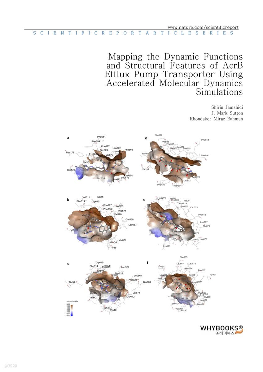 Mapping the Dynamic Functions and Structural Features of AcrB Efflux Pump Transporter Using Accelerated Molecular Dynamics Simulations