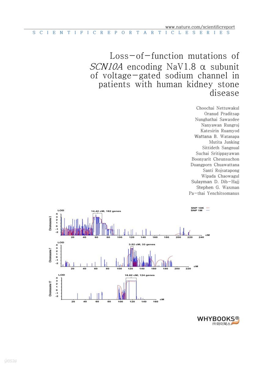 Loss-of-function mutations of SCN10A encoding NaV1.8 α subunit of voltage-gated sodium channel in patients with human kidney stone disease