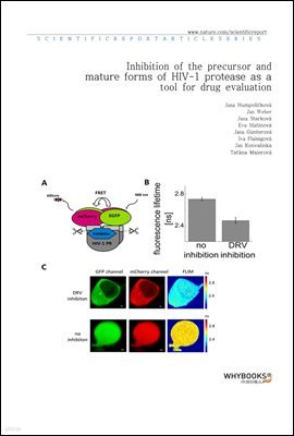 Inhibition of the precursor and mature forms of HIV-1 protease as a tool for drug evaluation