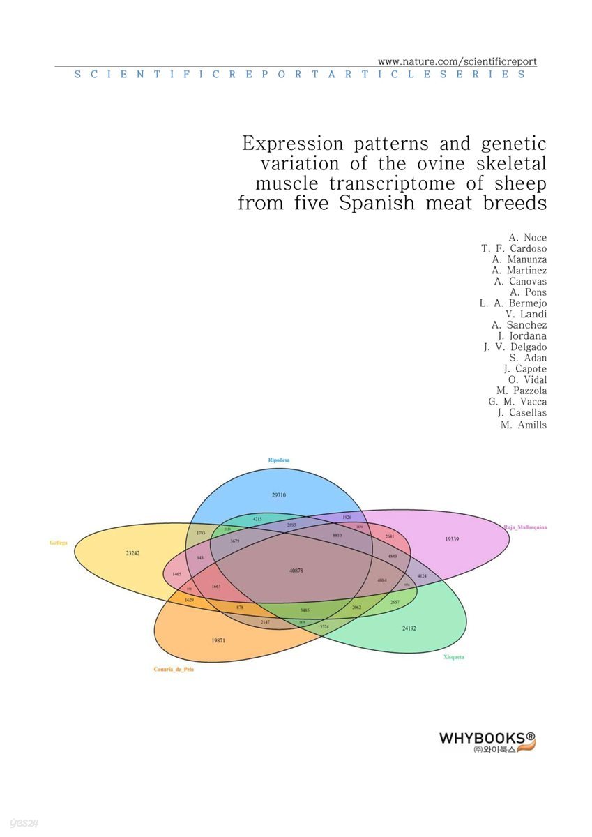 Expression patterns and genetic variation of the ovine skeletal muscle transcriptome of sheep from five Spanish meat breeds