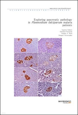 Exploring pancreatic pathology in Plasmodium falciparum malaria patients