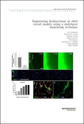 Engineering biofunctional in vitro vessel models using a multilayer bioprinting technique