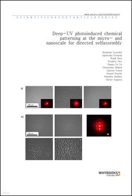 Deep-UV photoinduced chemical patterning at the micro- and nanoscale for directed self-assembly