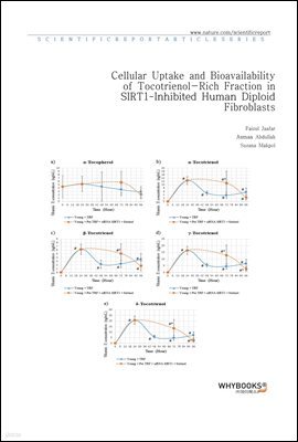 Cellular Uptake and Bioavailability of Tocotrienol-Rich Fraction in SIRT1-Inhibited Human Diploid Fibroblasts