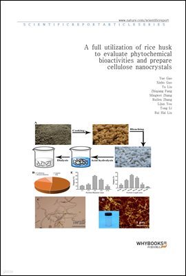 A full utilization of rice husk to evaluate phytochemical bioactivities and prepare cellulose nanocrystals