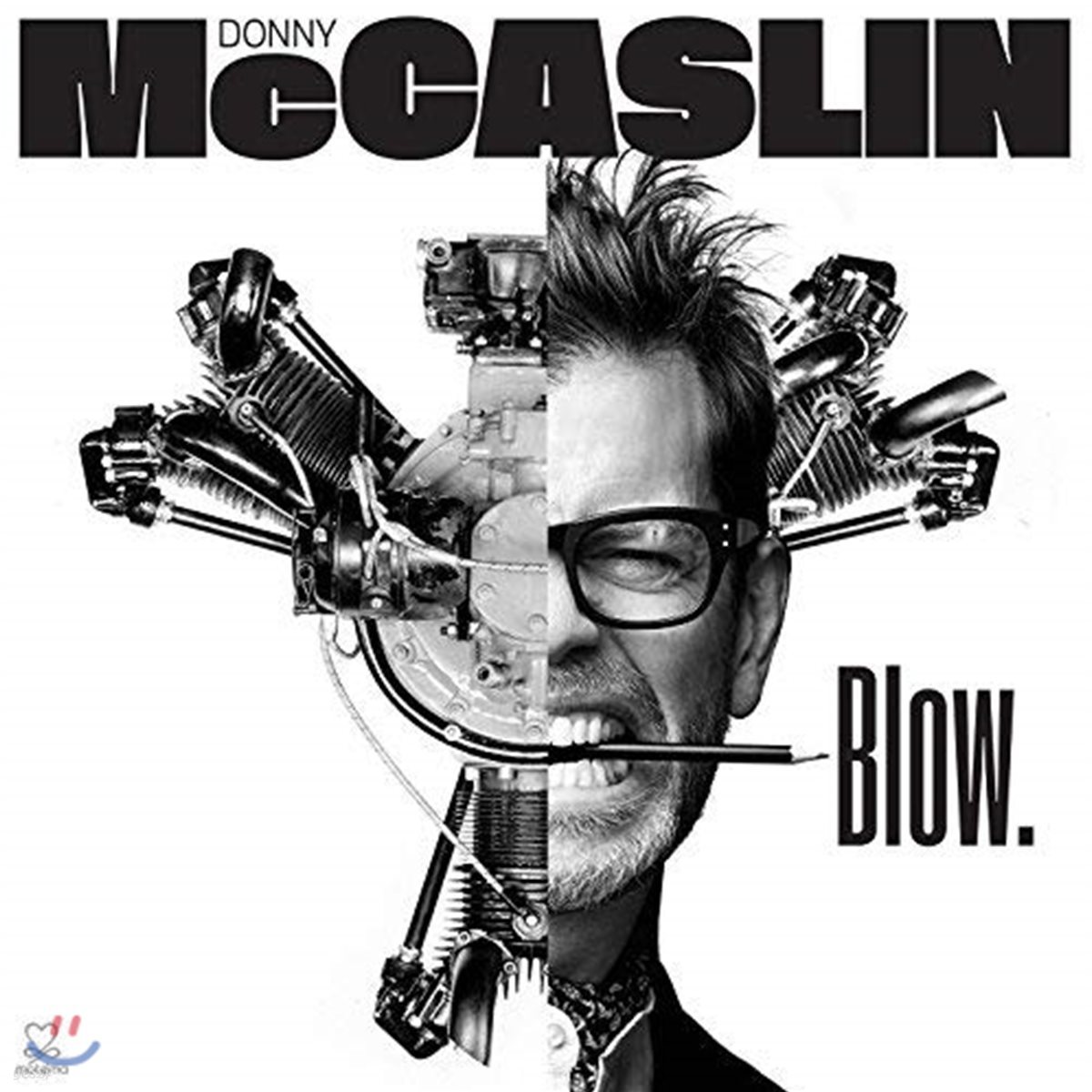 Donny Mccaslin (도니 맥카슬린) - Blow [LP]