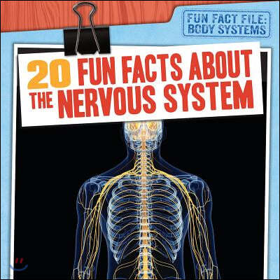 20 Fun Facts about the Nervous System