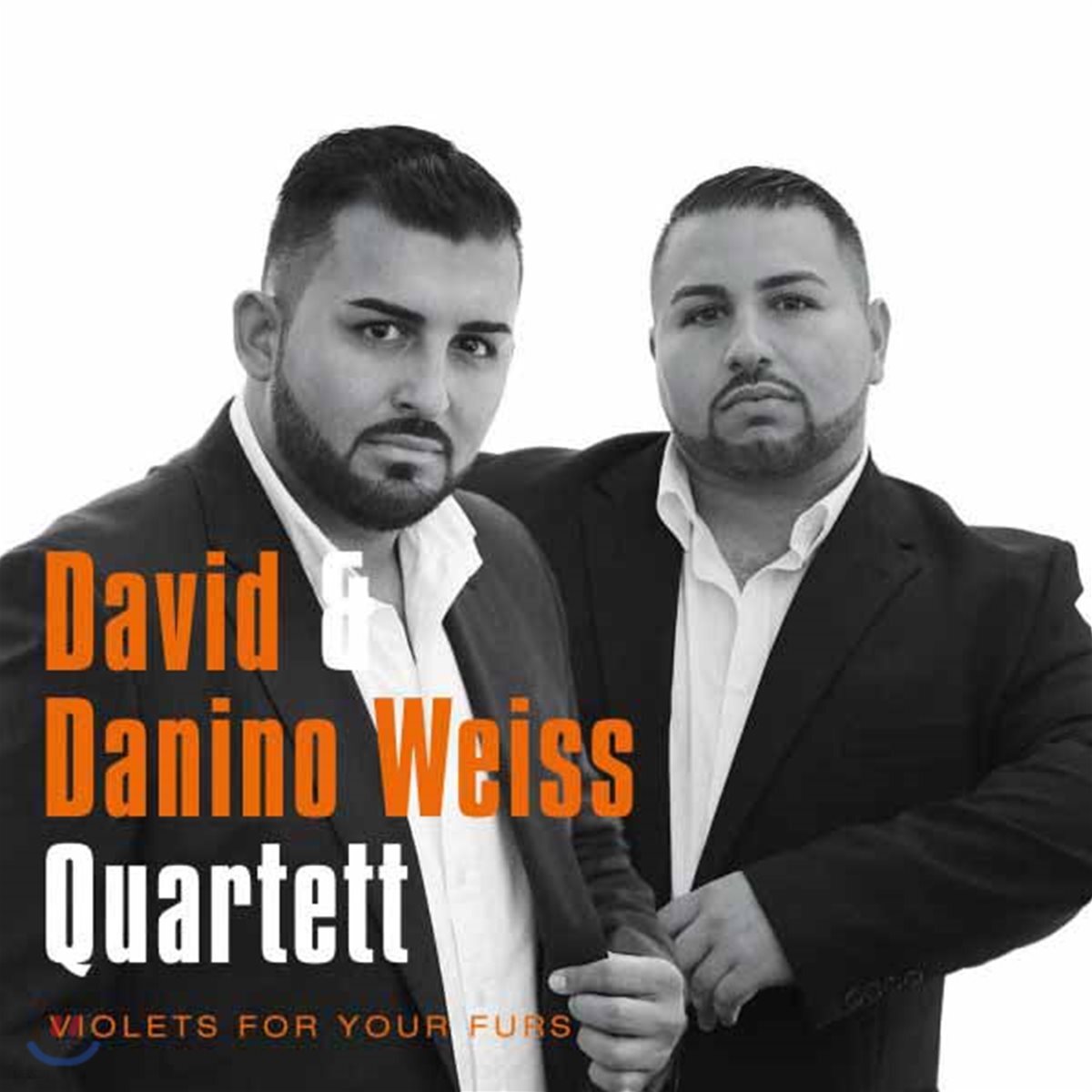 David & Danino Weiss Quartett - Violets for your furs