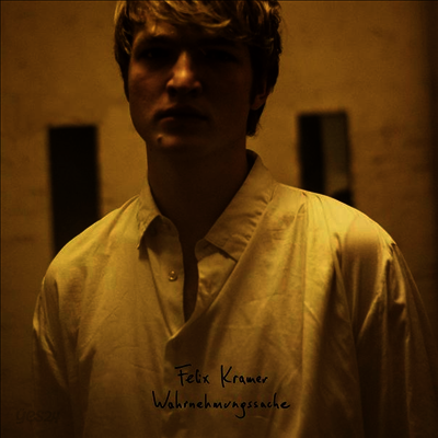 Felix Kramer - Wahrnehmungssache (LP)