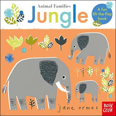 Animal Families: Jungle