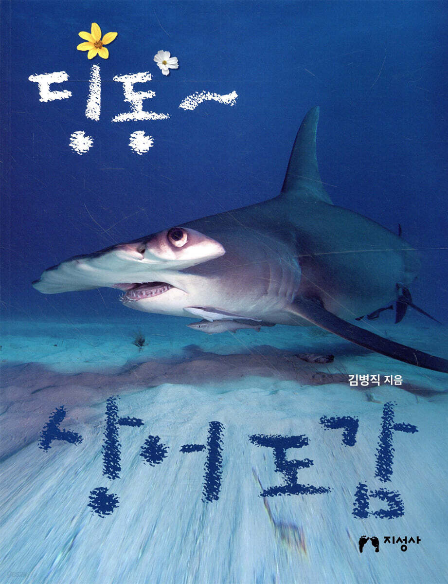 딩동~ 상어 도감