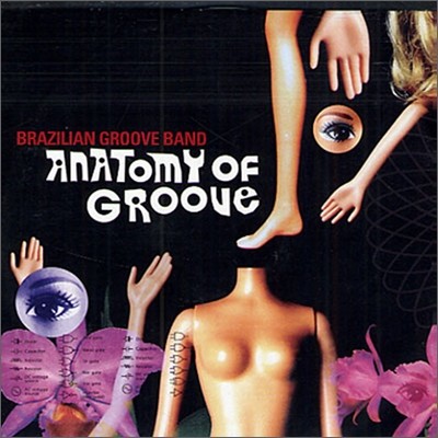 Brazilian Groove Band - Anatomy Of Groove