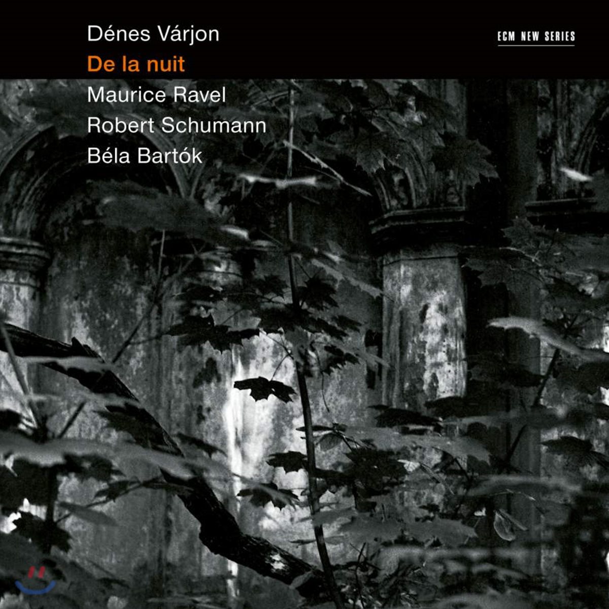 Denes Varjon 데네시 바르욘 - 밤을 주제로 모은 피아노 작품집 (De La Nuit)