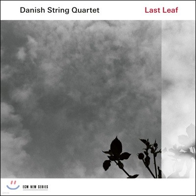 Danish String Quartet ũ μ  -  ٻ (Last Leaf) [LP]