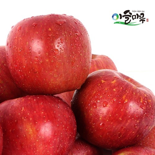 [이슬마루] 경북 의성 사과 흠과 3kg(15~20과)