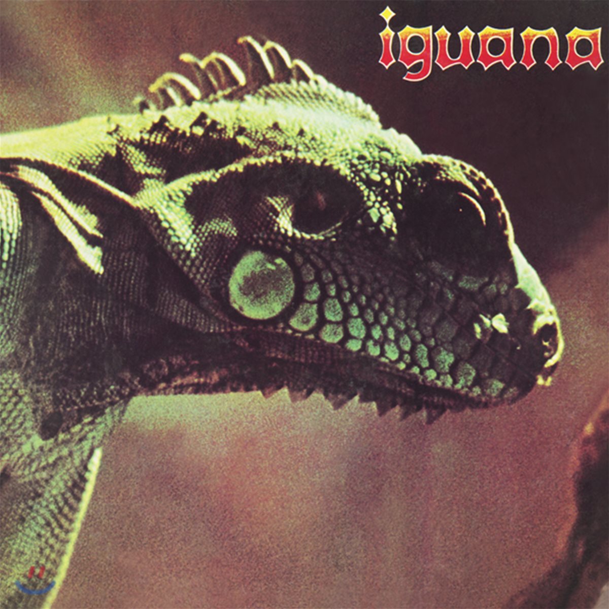 Iguana (이구아나) - Iguana