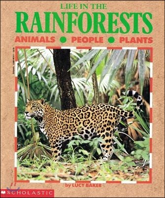 Life in the Rain Forests