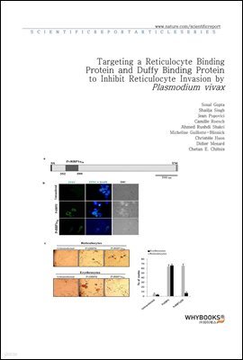 Targeting a Reticulocyte Binding Protein and Duffy Binding Protein to Inhibit Reticulocyte Invasion by Plasmodium vivax